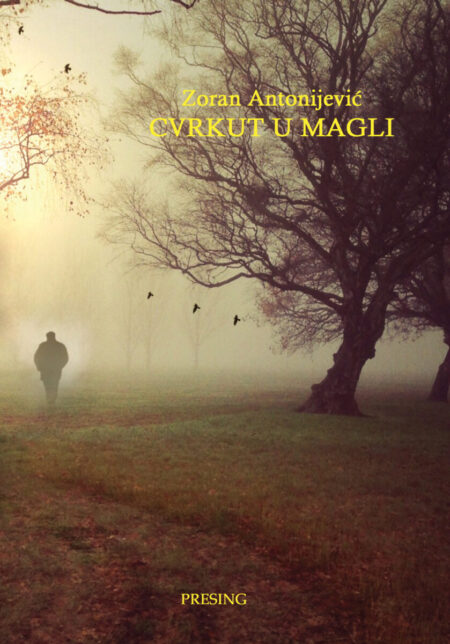 Cvrkut u magli (haiku)