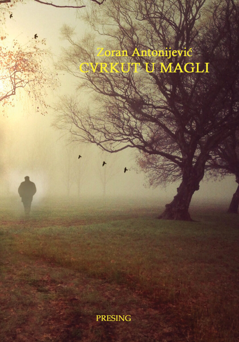 Crvkut-u-magli-korice.jpg Crvkut-u-magli-korice.jpg