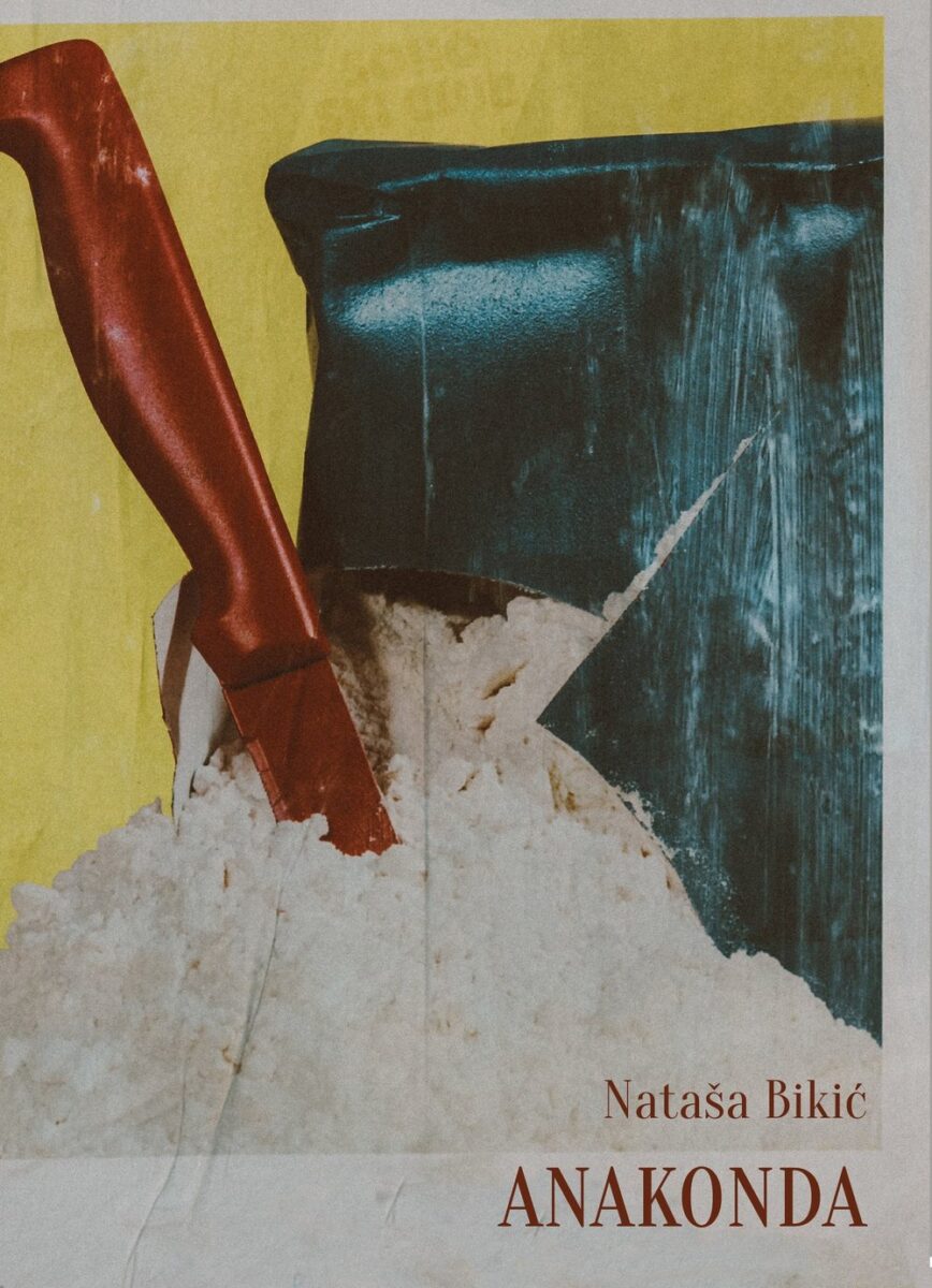 natasa-bikic-anakonda-korica.jpg natasa-bikic-anakonda-korica.jpg